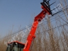 dsc03722_1067_800